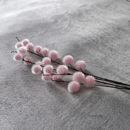 Elegant Very Berry In By Renters * Poznań