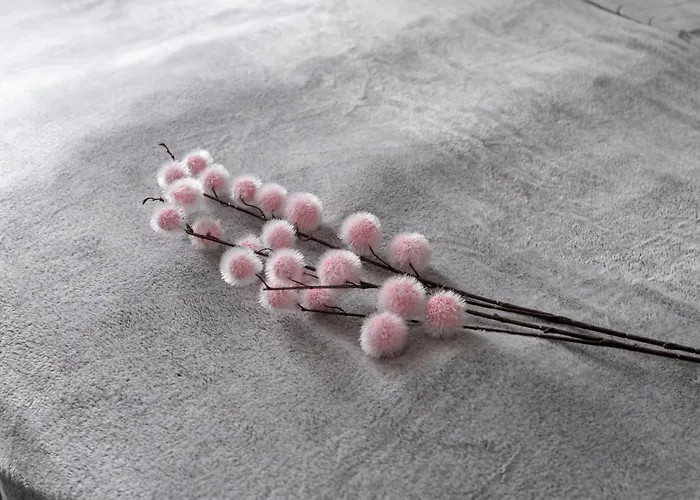 Elegant Very Berry In By Renters * بوزنان